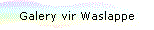 Galery vir Waslappe