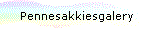 Pennesakkiesgalery