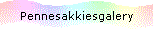 Pennesakkiesgalery