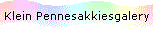 Klein Pennesakkiesgalery