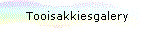 Tooisakkiesgalery